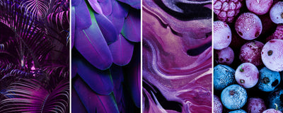 PURPLE GLITTER COLLECTION